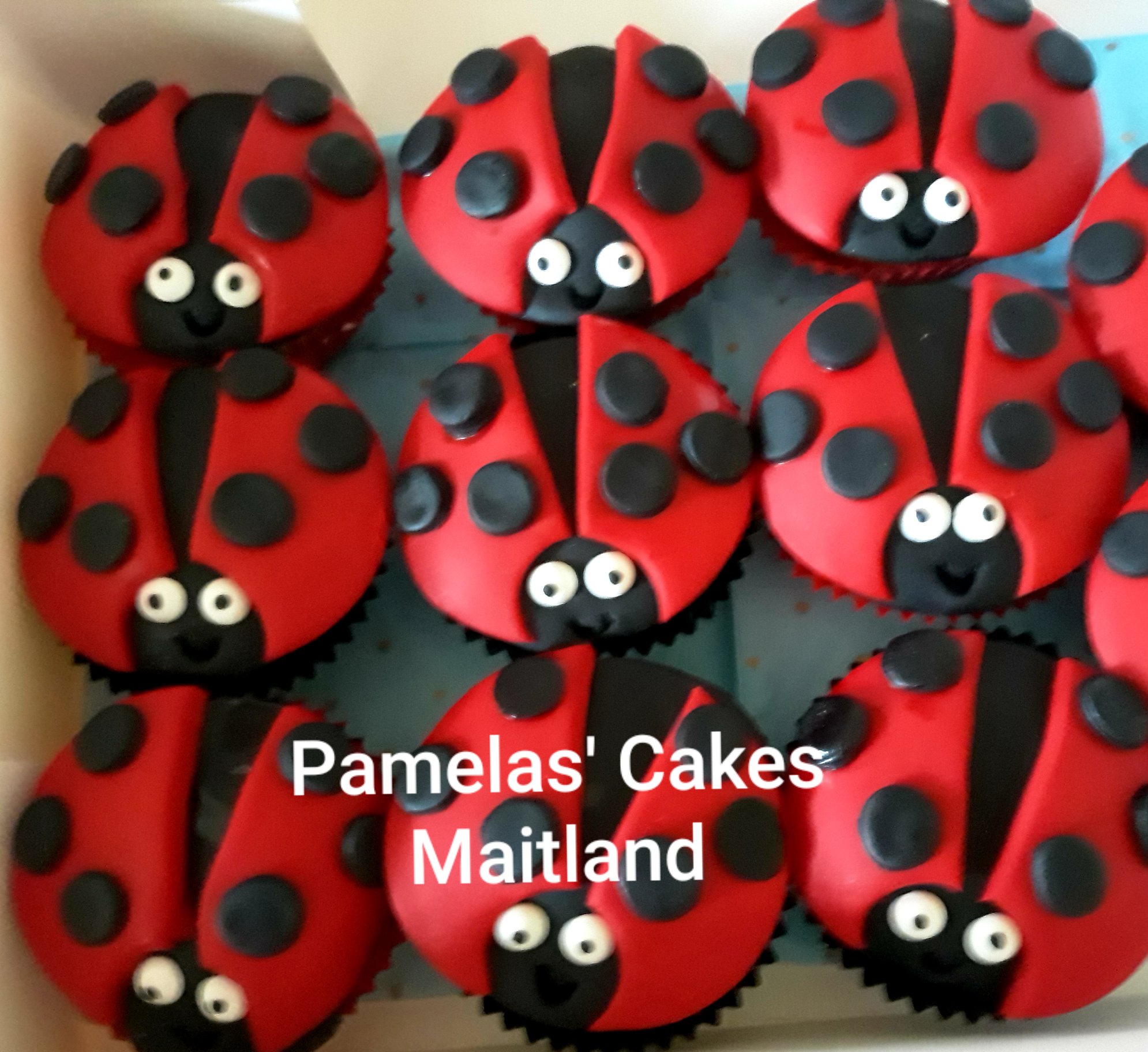 Pamelas Cakes Maitland | 6 Margot Cl, Bolwarra Heights NSW 2320, Australia | Phone: 0418 497 111