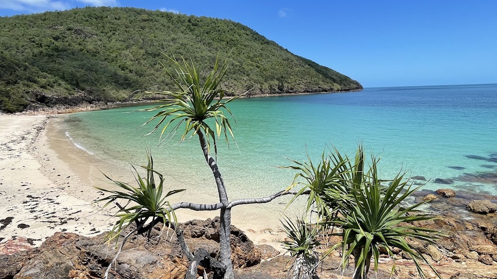 Endless Days Private Charters | Mackay Marina, Mulherin Dr, Mackay Harbour QLD 4740, Australia | Phone: 0409 032 411