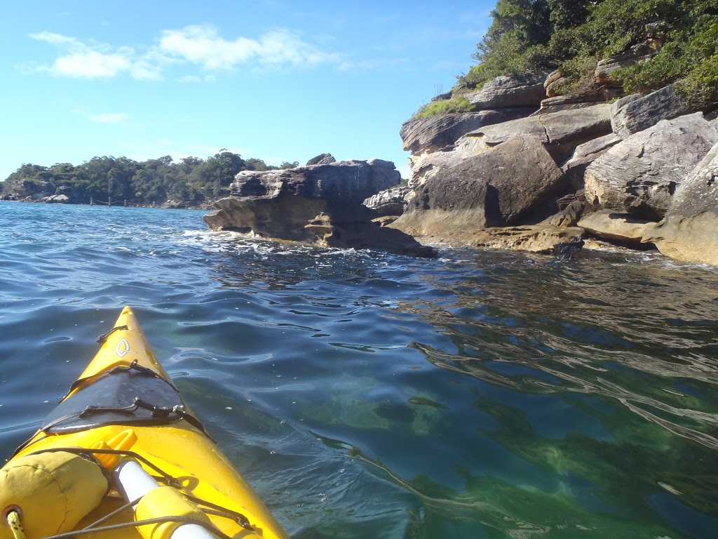 Kayaking Tours Sydney | New South Head Rd, Rose Bay NSW 2029, Australia | Phone: (02) 9975 4553