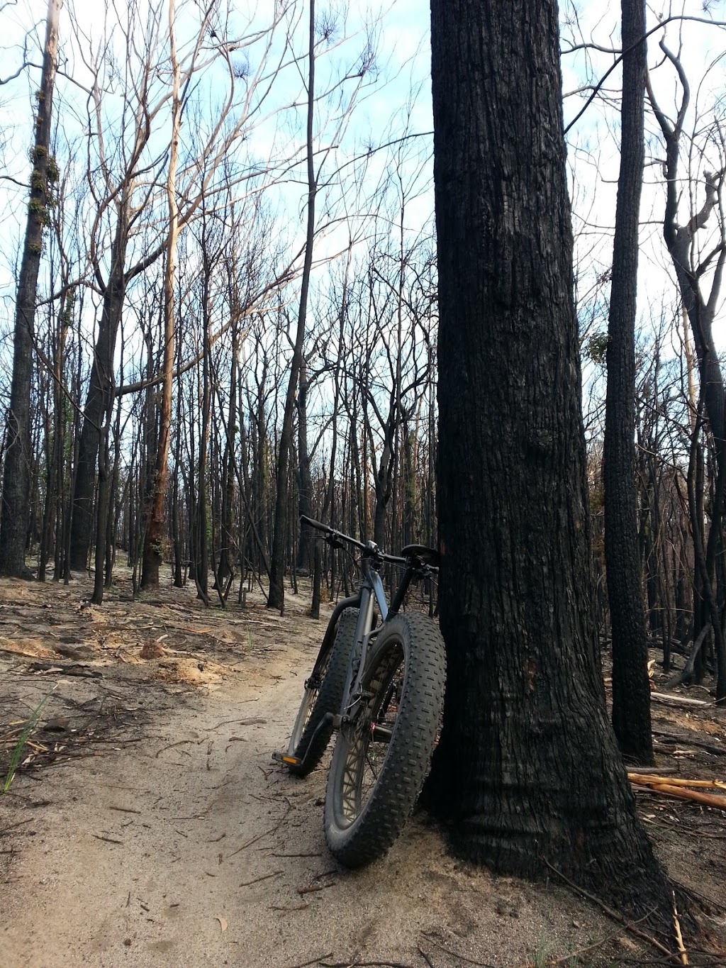 Mountain Bike Trailhead (Bundadung) | university | Tathra Rd, Tathra NSW 2550, Australia