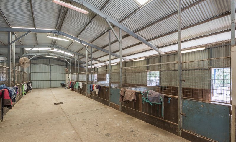Sunninghill Equestrian Centre | 3010 Riley Rd, Stoneville WA 6081, Australia | Phone: 0409 102 021