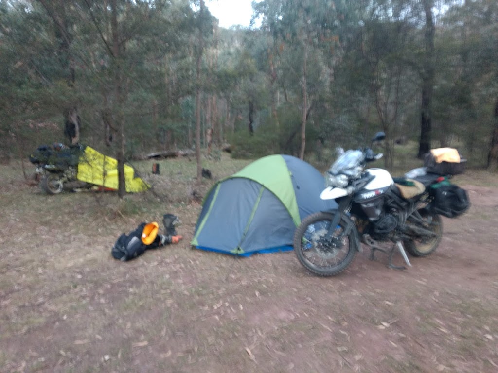 Wild Cherry Tree Campsite | campground | 763 Tamboritha Rd, Licola VIC 3858, Australia