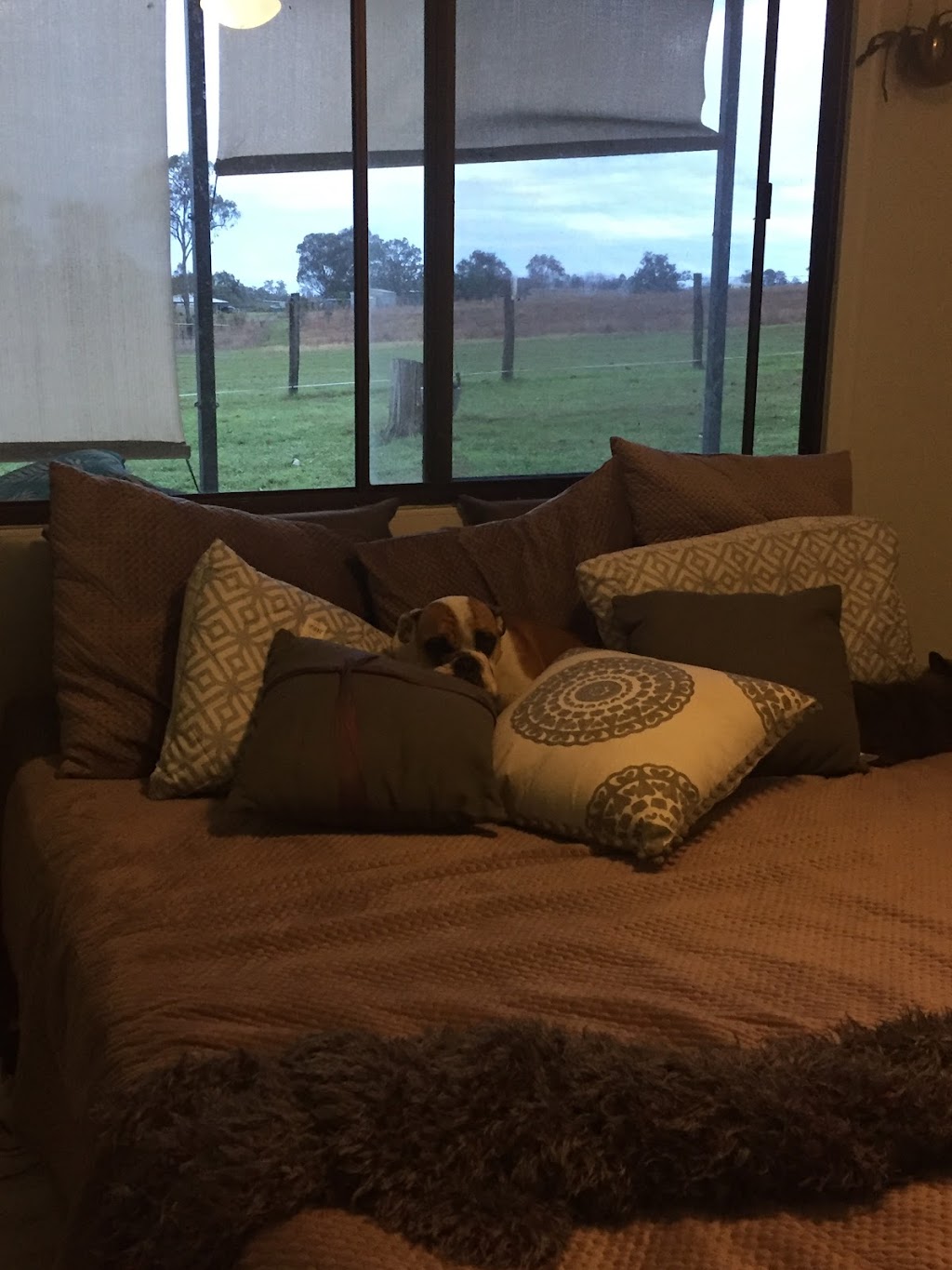 TowTal Touring Caravan Maintanance | 305 Bloomfield St, Cleveland QLD 4163, Australia | Phone: (07) 3286 6528