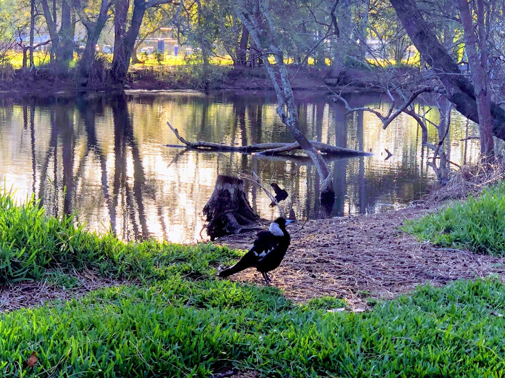 Middle Creek Reserve | park | Wakehurst Pkwy, Cromer NSW 2099, Australia | 0299422550 OR +61 2 9942 2550