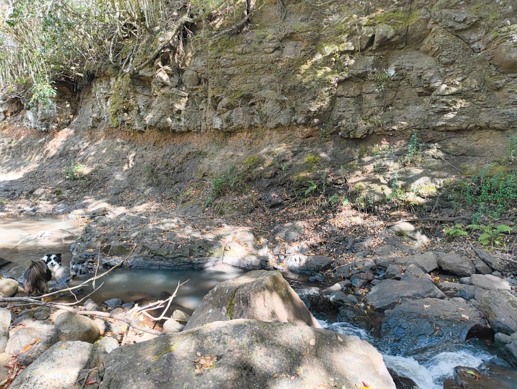 Biodanza School of Australia at Pumulani | 236 Graydon Rd, Corndale NSW 2480, Australia | Phone: 0477 800 001