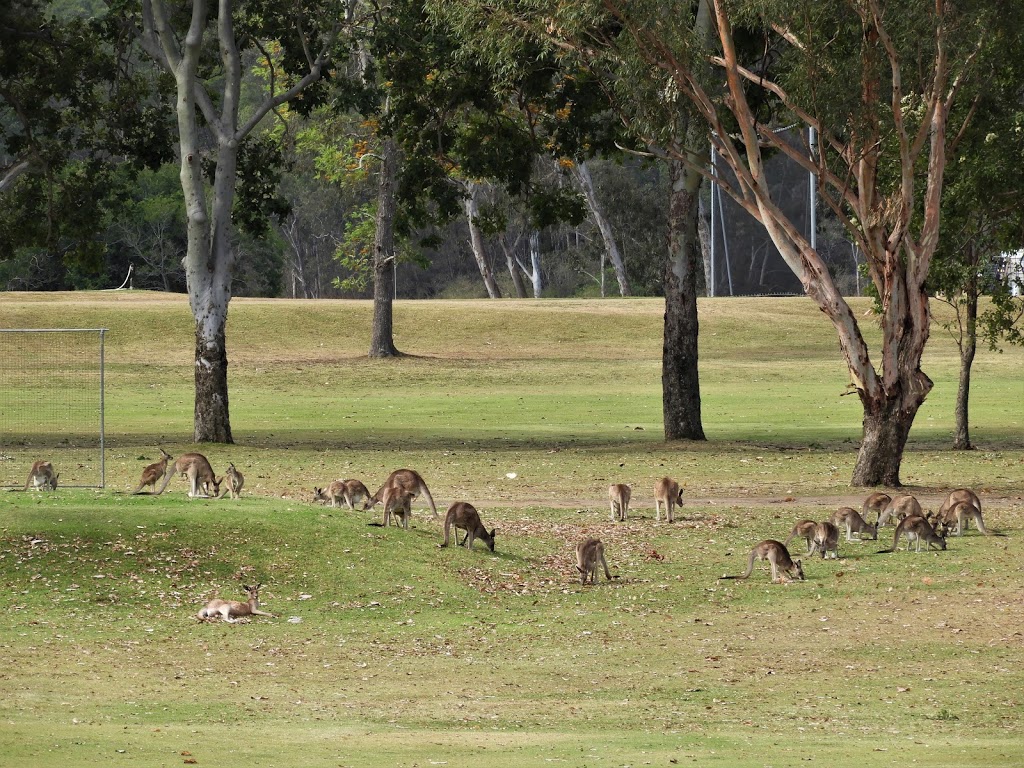 Wolston Park Golf Club | Ellerton Dr, Wacol QLD 4067, Australia | Phone: (07) 3271 4057