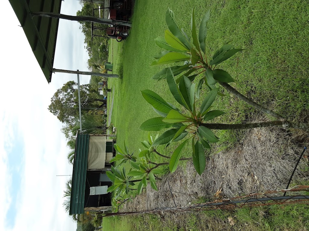 Brandybottle Camping and Recreation Reserve | rv park | 82943 Bruce Hwy, Clairview QLD 4741, Australia | 0423877288 OR +61 423 877 288