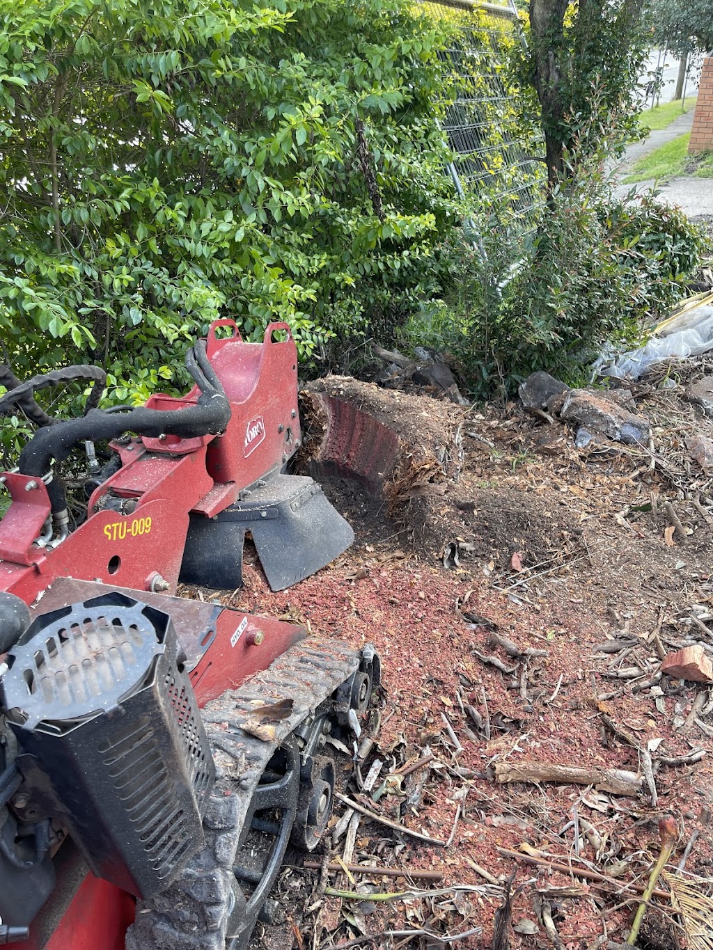 EziClip Tree Service | 14 Fernleigh Pl, New Lambton Heights NSW 2305, Australia | Phone: 0472 977 737