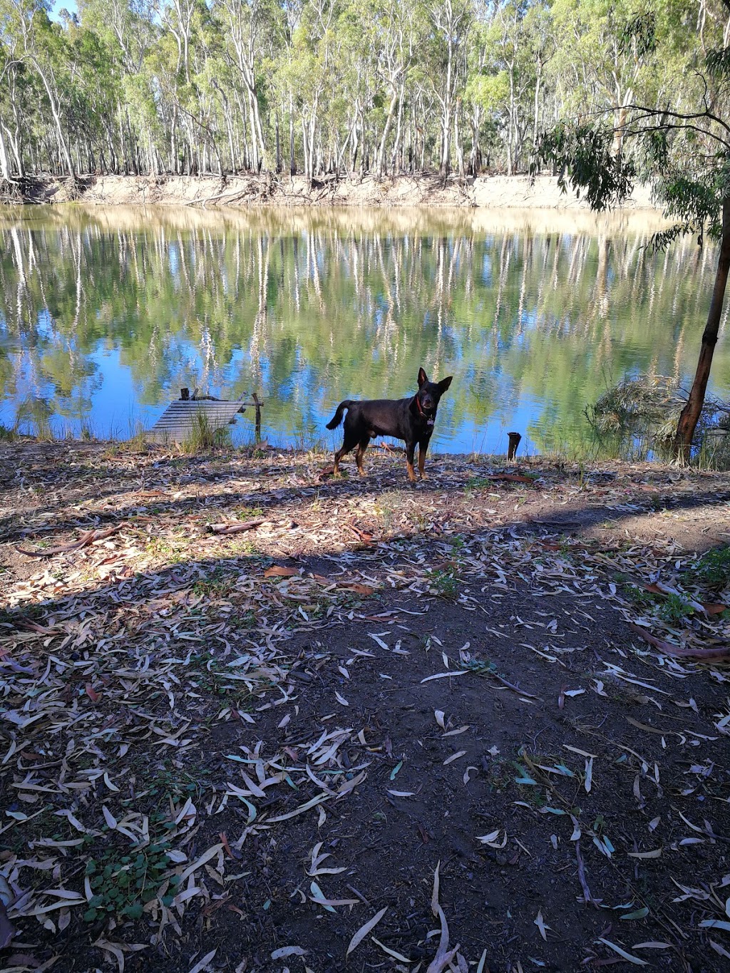 Glenos Camp | lodging | Cohuna VIC 3568, Australia