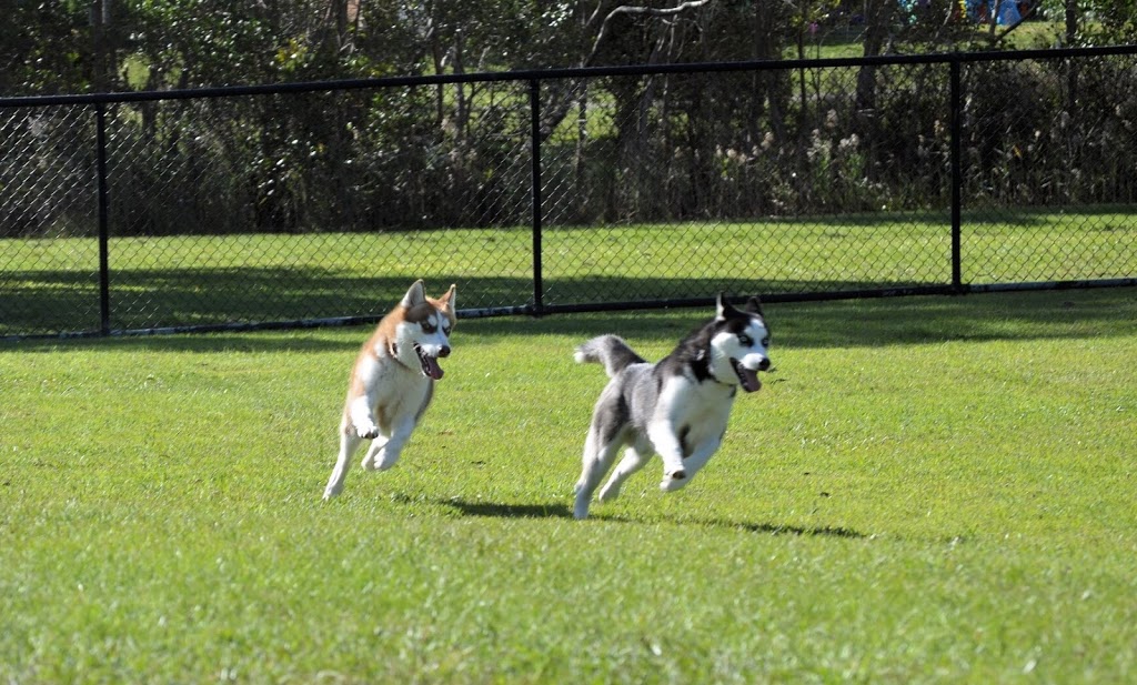 Boondall Dog Park | park | 72 College Way, Boondall QLD 4034, Australia