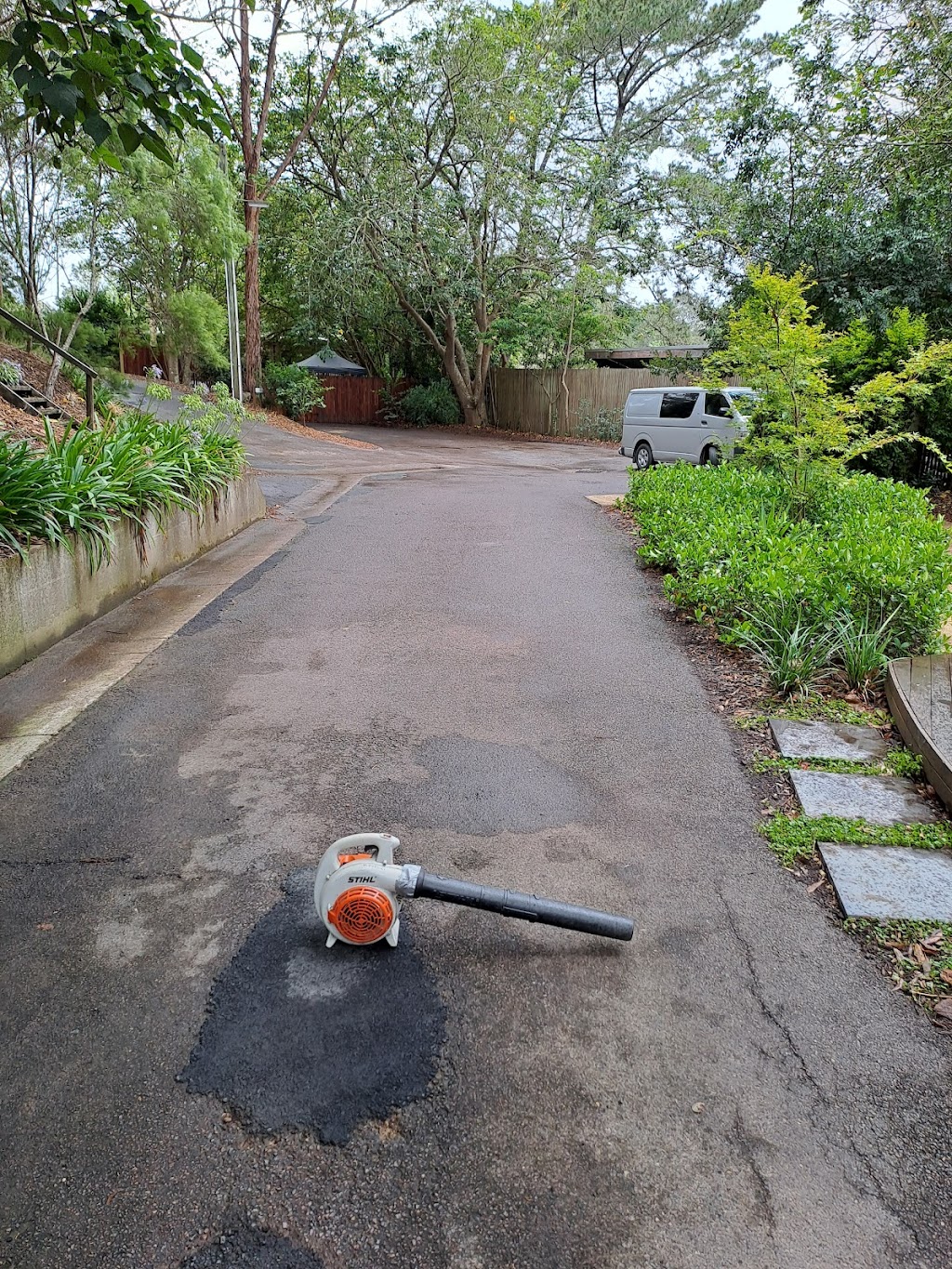 Budgewoi lawns(currently fully booked out) | Noella place, Budgewoi NSW 2262, Australia | Phone: 0458 806 285