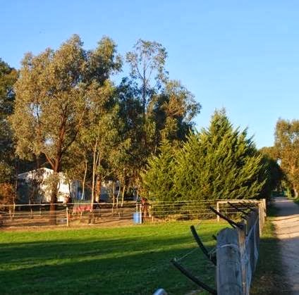 Winmallee Classical Riding |  | Lot 4 Battunga Rd, Echunga SA 5153, Australia | 0883888397 OR +61 8 8388 8397