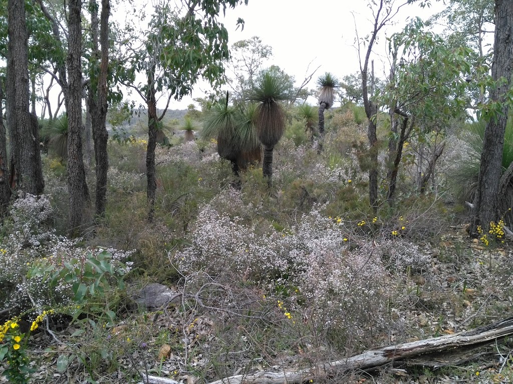 Baldwins lookout trail | park | Serpentine WA 6125, Australia