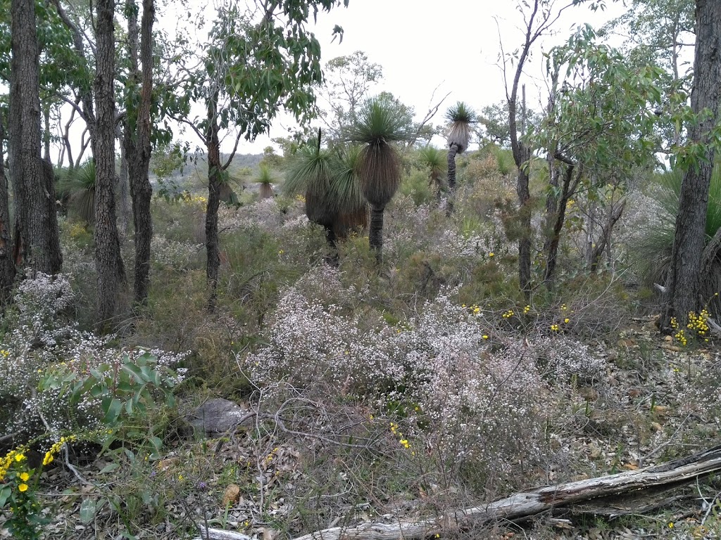 Baldwins lookout trail | Serpentine WA 6125, Australia