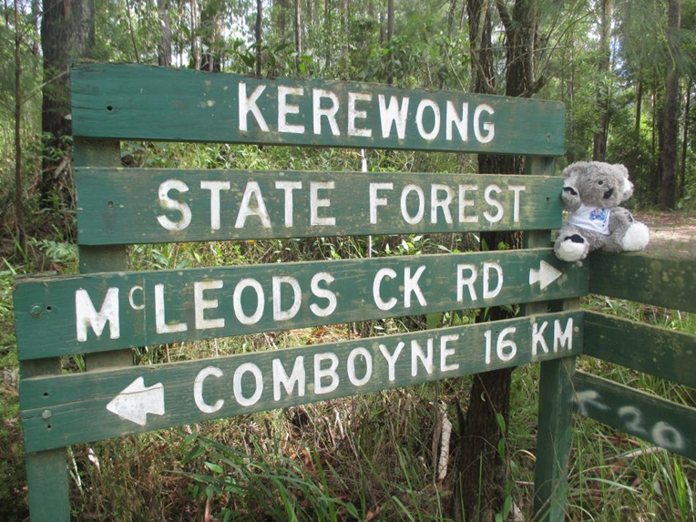 Kerewong State Forest | Cnr McLeods Creek Road &, Lorne Rd, Kerewong NSW 2439, Australia