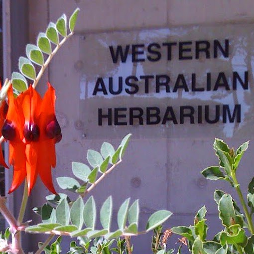 Western Australian Herbarium | 17 Dick Perry Ave, Kensington WA 6152, Australia | Phone: (08) 9219 8000