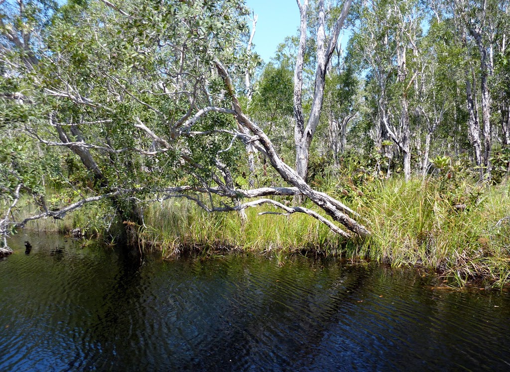 Cooloola (Noosa River) Resources Reserve | park | Como QLD 4571, Australia