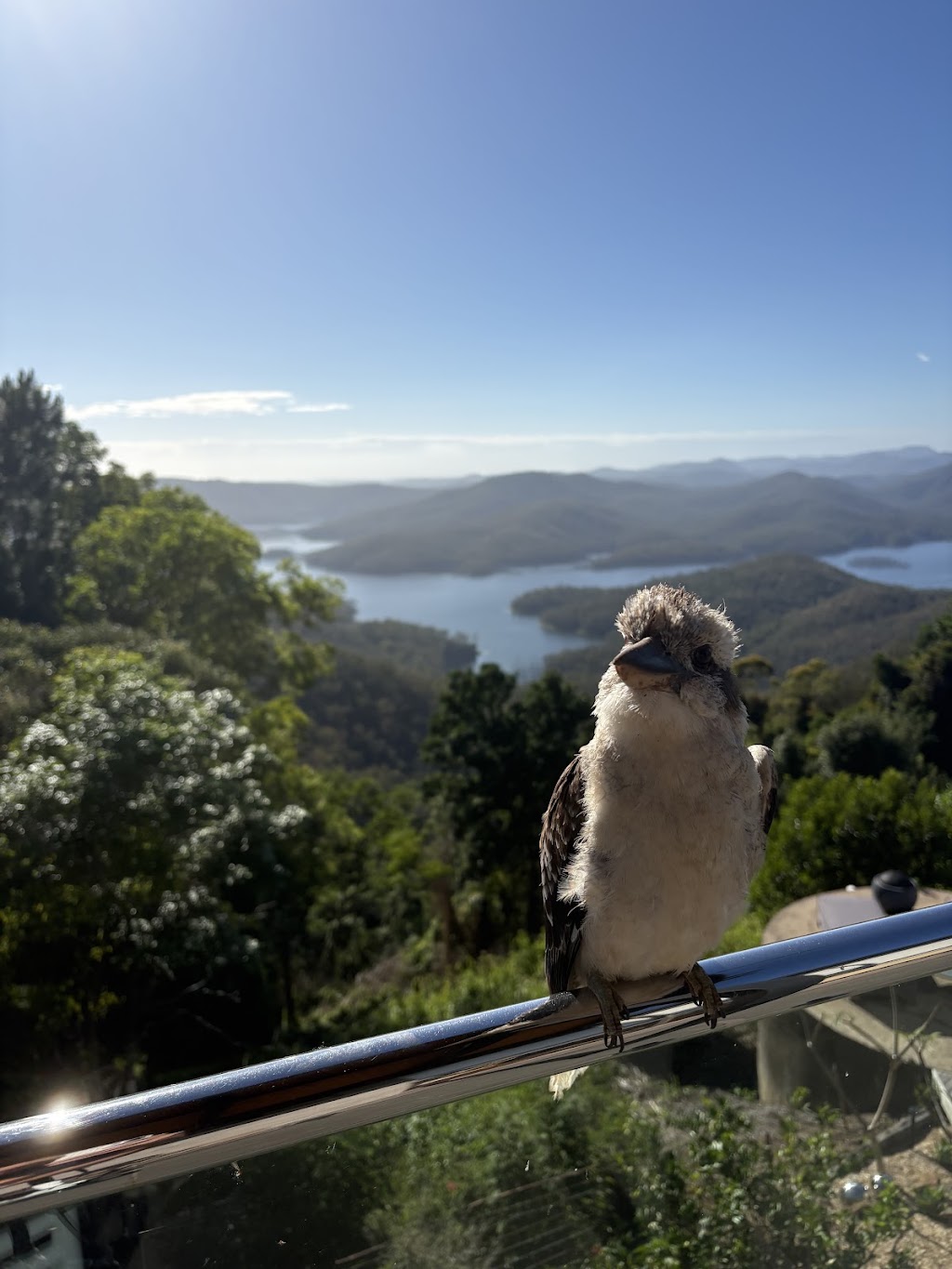 The Beechmont Abode | 10 Loop Rd, Lower Beechmont QLD 4211, Australia | Phone: 0433 089 900