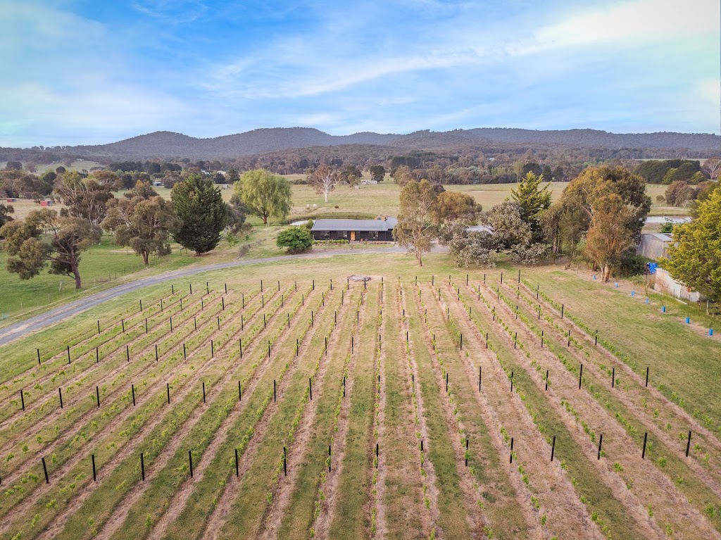 Cobaw Views - a Mount Towrong Vineyard retreat | 831 Three Chain Rd, Newham VIC 3442, Australia | Phone: 0457 222 654