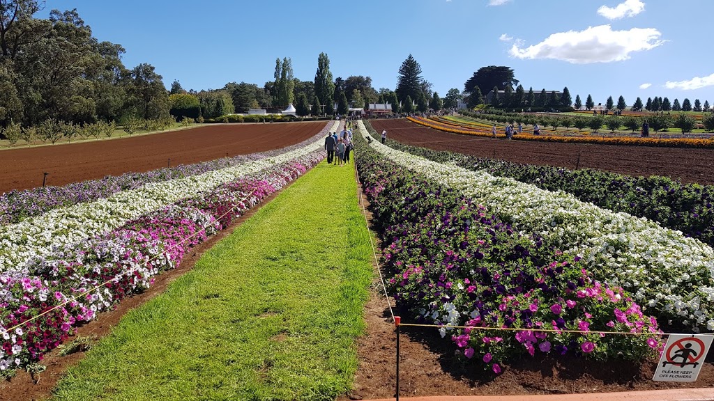 Tesselaar Gardens | 357 Monbulk Rd, Silvan VIC 3795, Australia