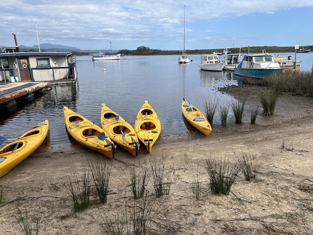 West Coast Kayaking | 42°0918.3"S 145°1931.5"E, Strahan TAS 7468, Australia | Phone: 0494 314 145