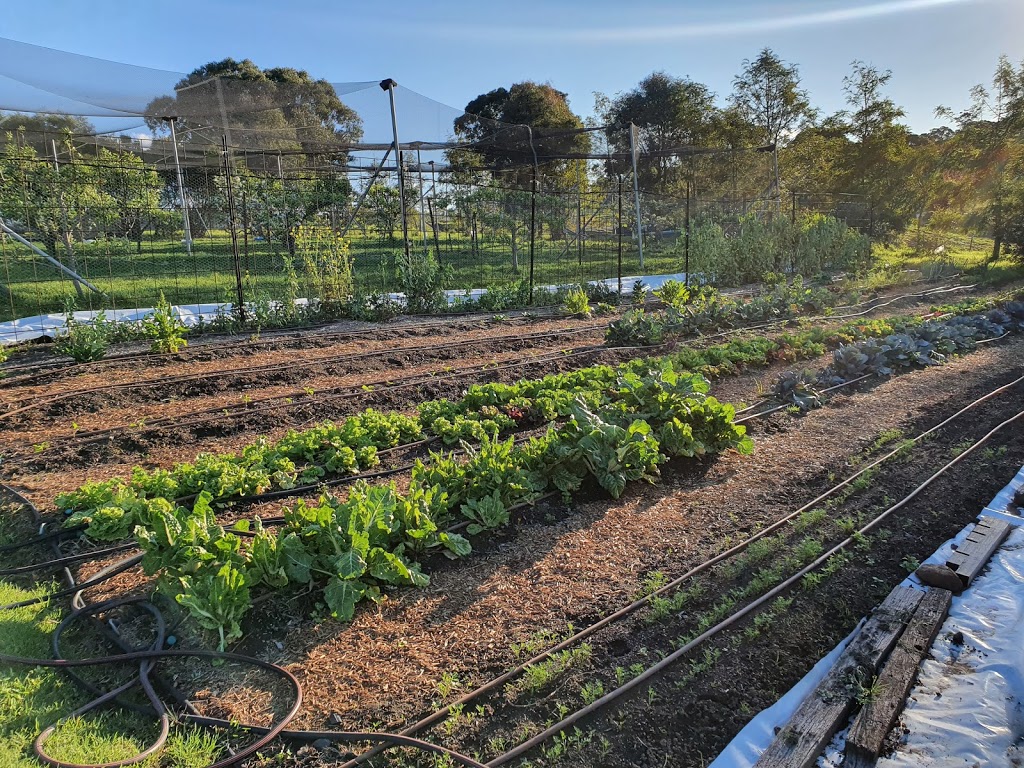 Fork & Hoe Farm | 26 Buckajo Rd, Buckajo NSW 2550, Australia | Phone: 0428 081 634