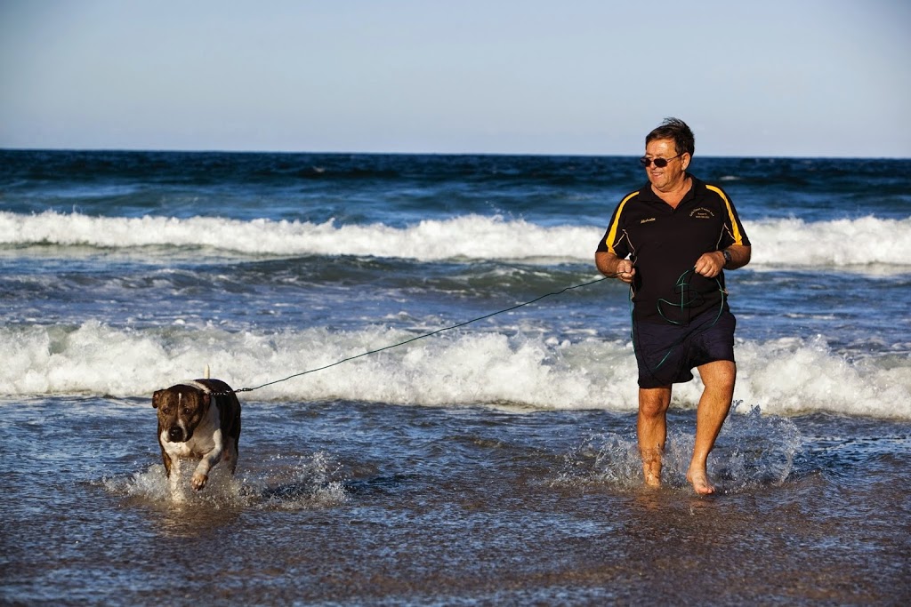 Cabarita Beach Pet Resort |  | 999 Clothiers Creek Rd, Clothiers Creek NSW 2484, Australia | 0266777284 OR +61 2 6677 7284