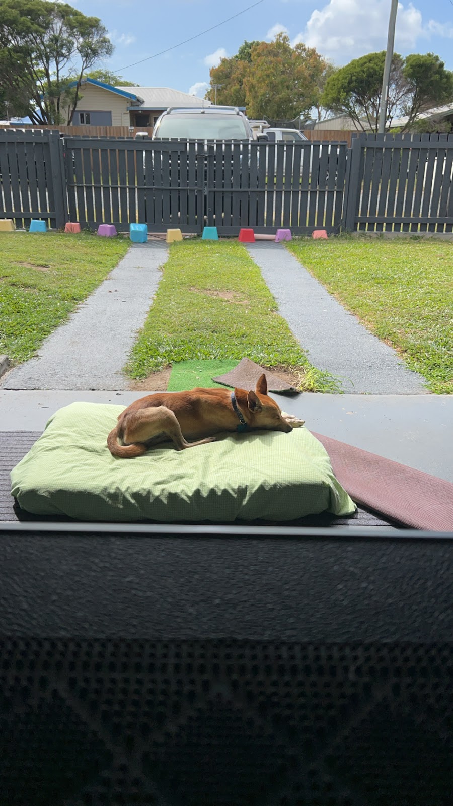 Little paws by staceylee | 46 Mulherin Dr, Mackay Harbour QLD 4740, Australia | Phone: 0447 142 687