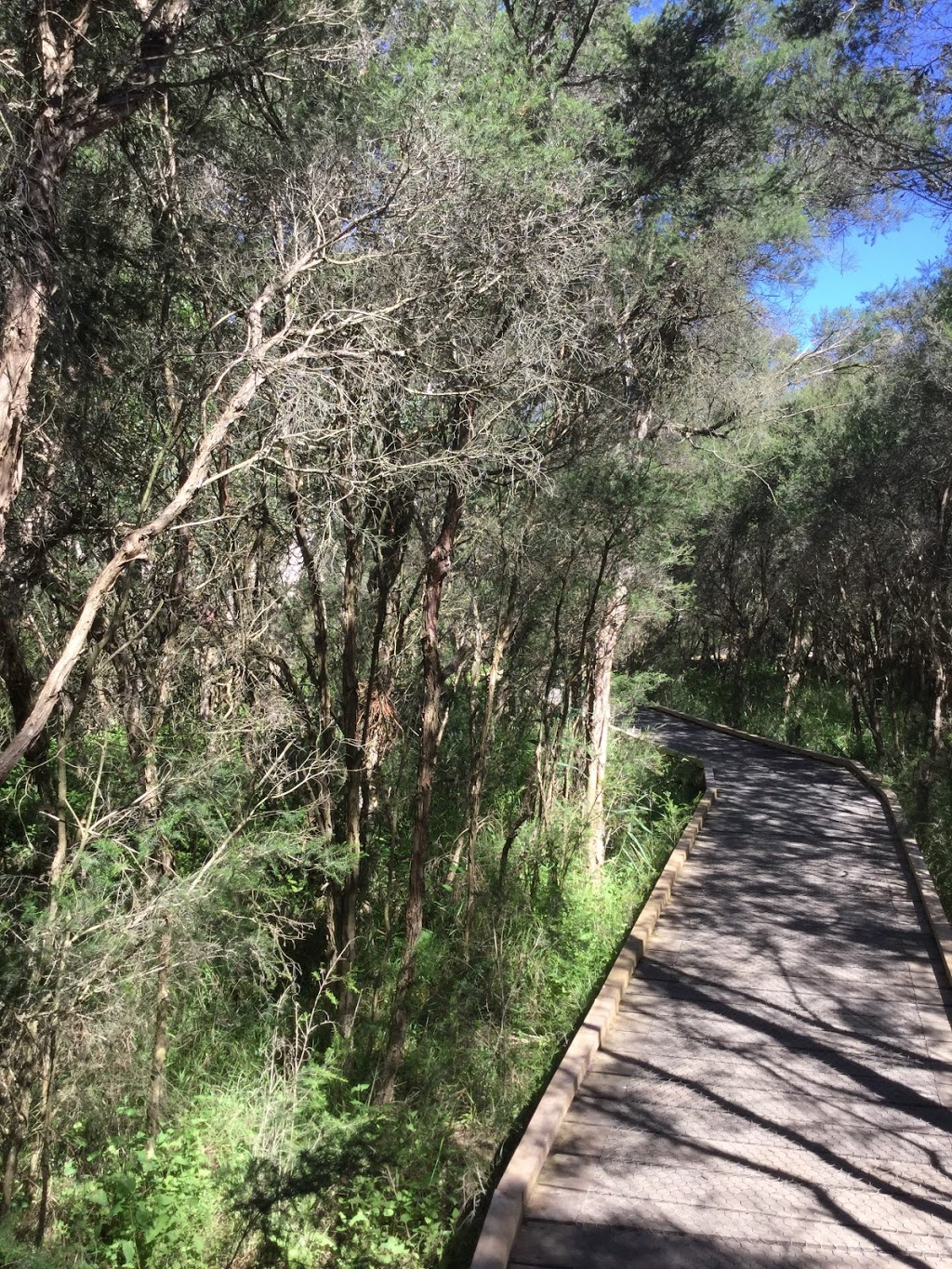 Sweetwater Creek - Walking Track | gym | 2 Liddesdale Ave, Frankston South VIC 3199, Australia