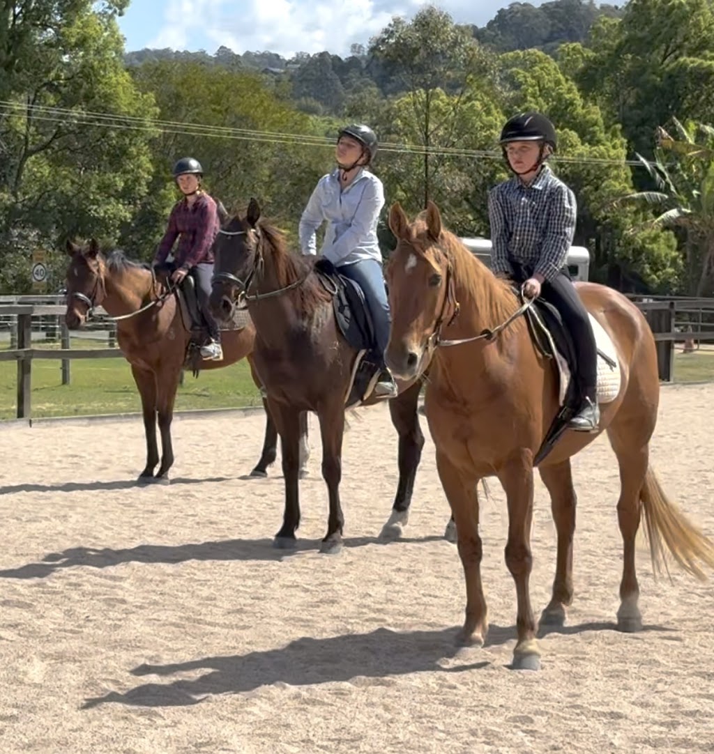 Mullumbimby Equestrian Centre | 310 Left Bank Rd, Mullumbimby Creek NSW 2482, Australia | Phone: 0413 959 708