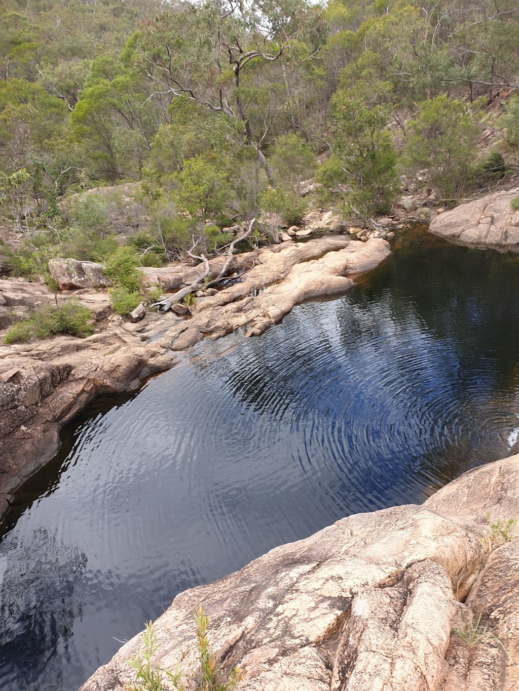 Waterfall Creek carpark | park | Mount Walsh National Park, Utopia Rd, Boompa QLD 4621, Australia