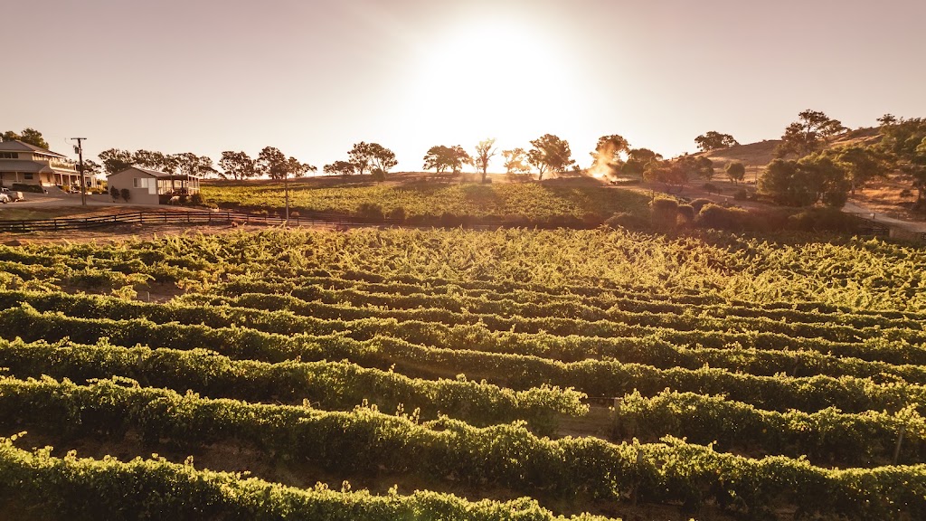 Brockenchack Wines Cellar Door | 351 Sawpit Gully Rd, Keyneton SA 5353, Australia | Phone: (07) 5458 7700