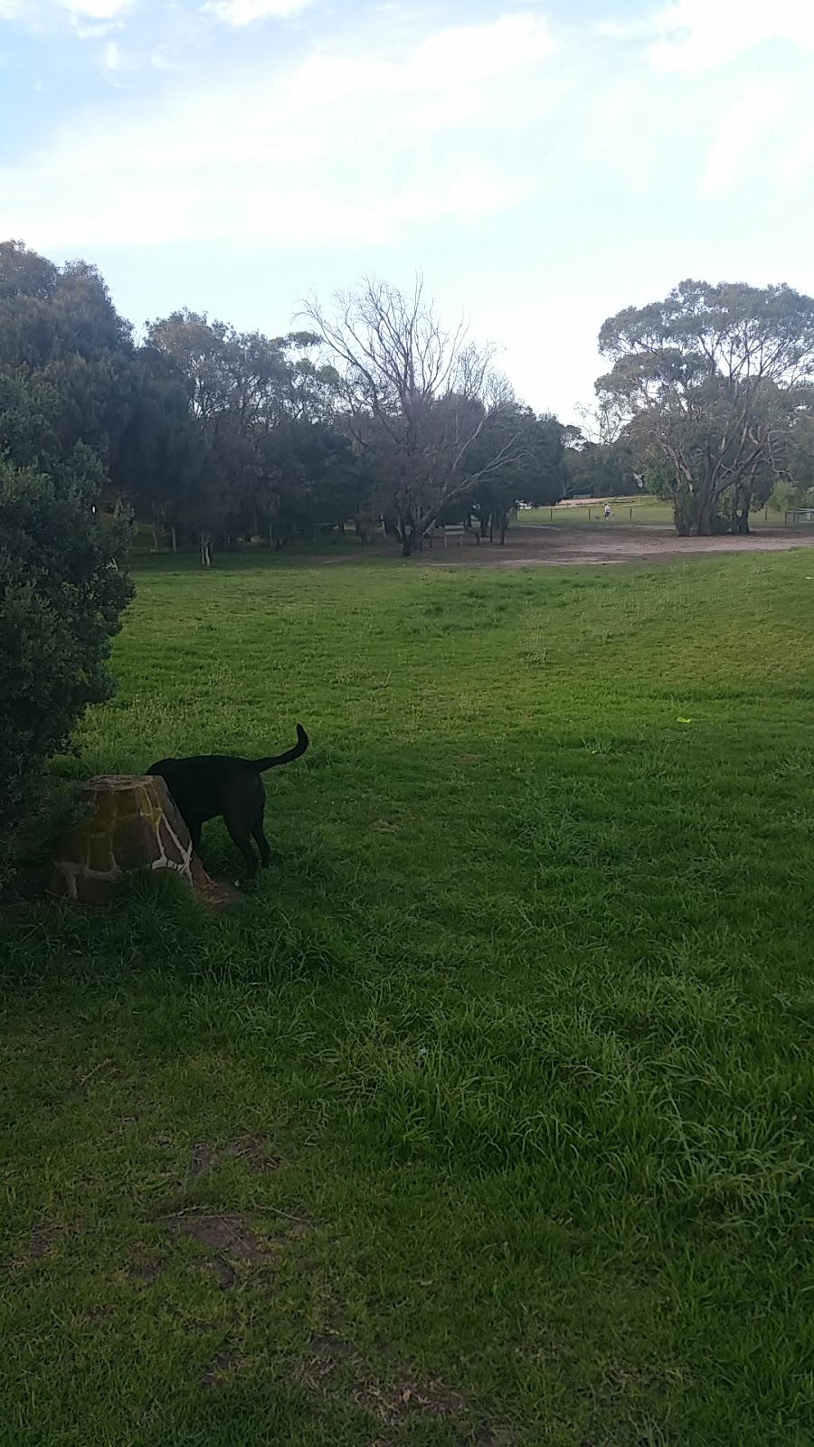 Off Leash Fenced Dog Park | park | 1 Billabong Walk, Mornington VIC 3931, Australia