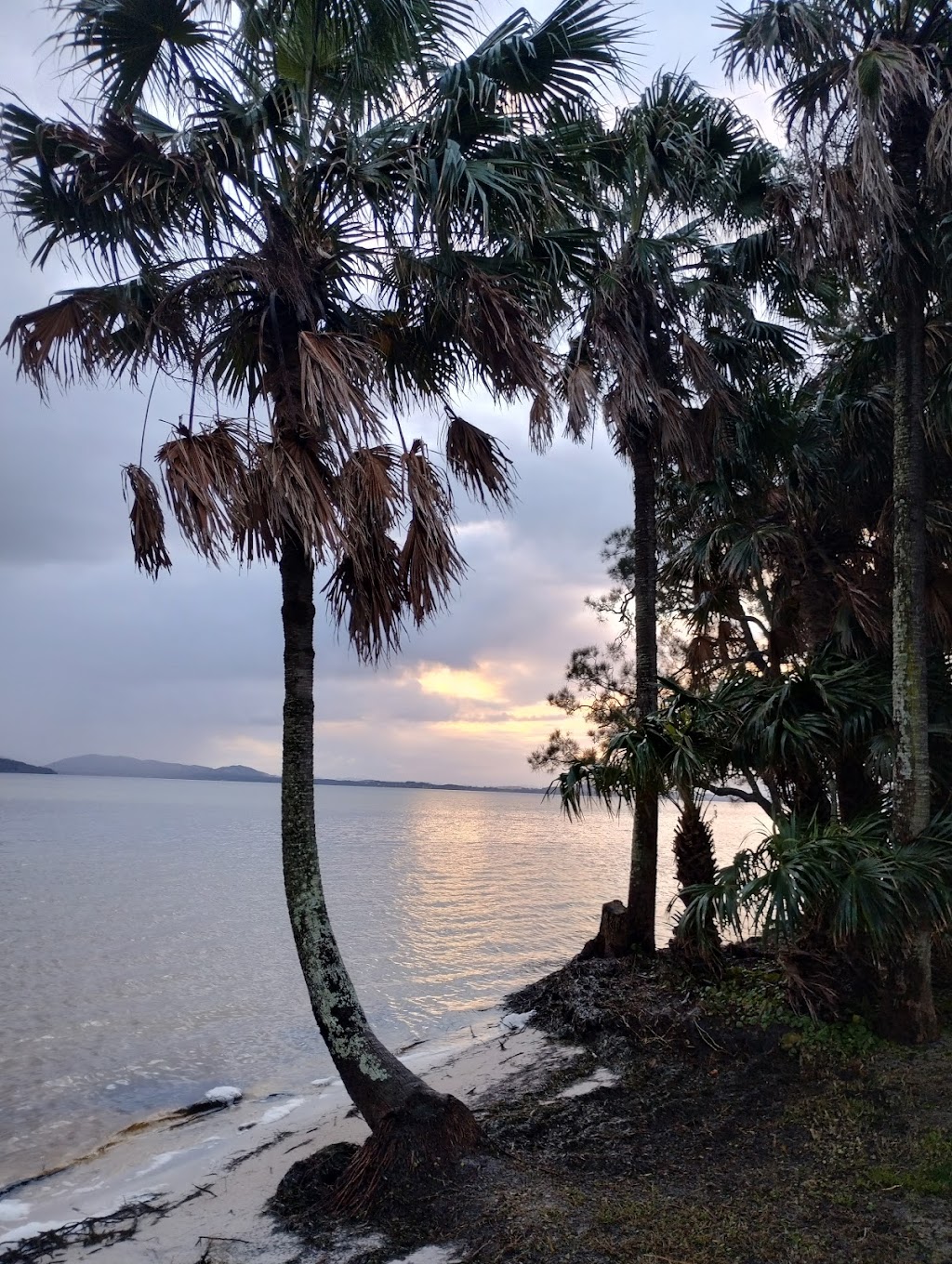 Tiona Holiday Park Beachside | MGXC+2H, Tiona NSW 2428, Australia | Phone: (02) 6554 0290