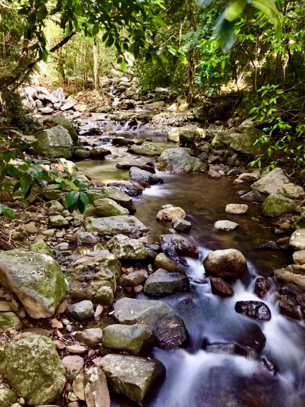 Natural Bridge, Springbrook National Park | park | Bakers Rd, Natural Bridge QLD 4211, Australia