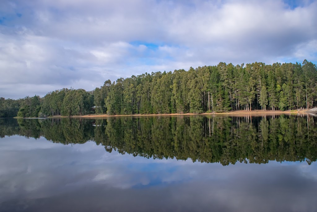 Karri Lake Trail | Unnamed Road, Quinninup WA 6258, Australia