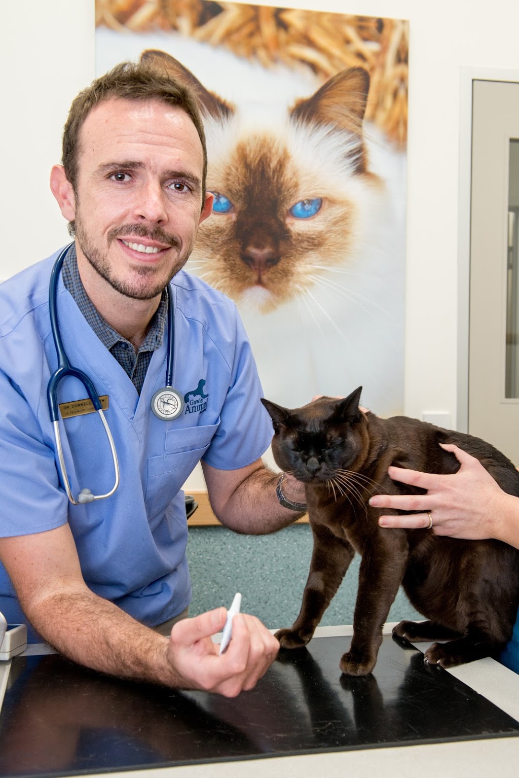 Gawler Animal Hospital | veterinary care | 76 Adelaide Rd, Gawler South SA 5118, Australia | 0885223500 OR +61 8 8522 3500