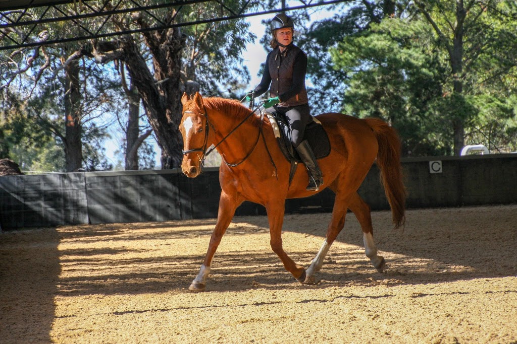 Ripawood Equestrian Park |  | 160 Glenburnie Rd, Beveridge VIC 3753, Australia | 0418611185 OR +61 418 611 185