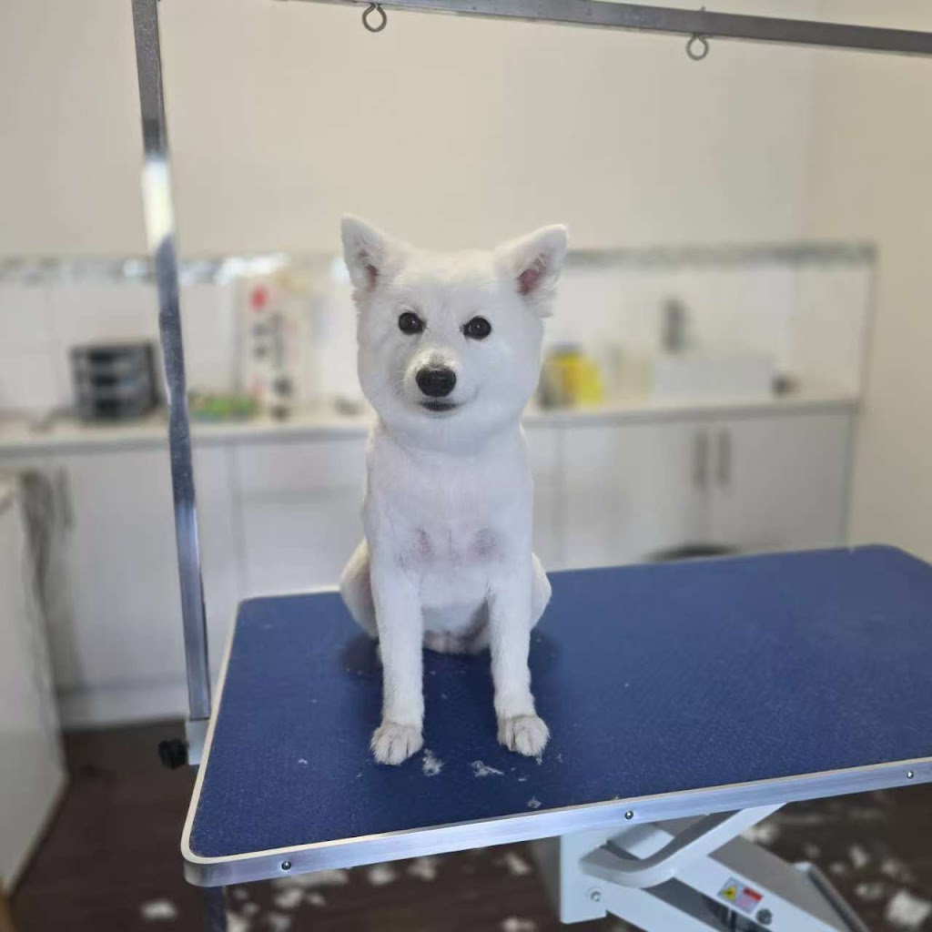 Dreamy Pet Grooming | 142 Greaves Rd, Narre Warren South VIC 3805, Australia | Phone: 0450 801 015
