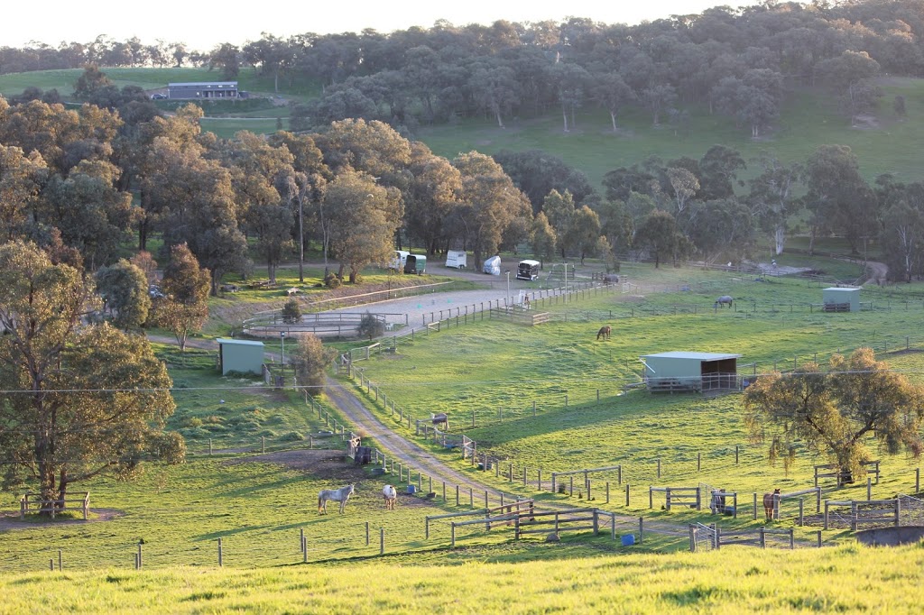 Tintagel Horse Agistment | lodging | 105 Bourchiers Rd, Kangaroo Ground VIC 3097, Australia | 0418366336 OR +61 418 366 336