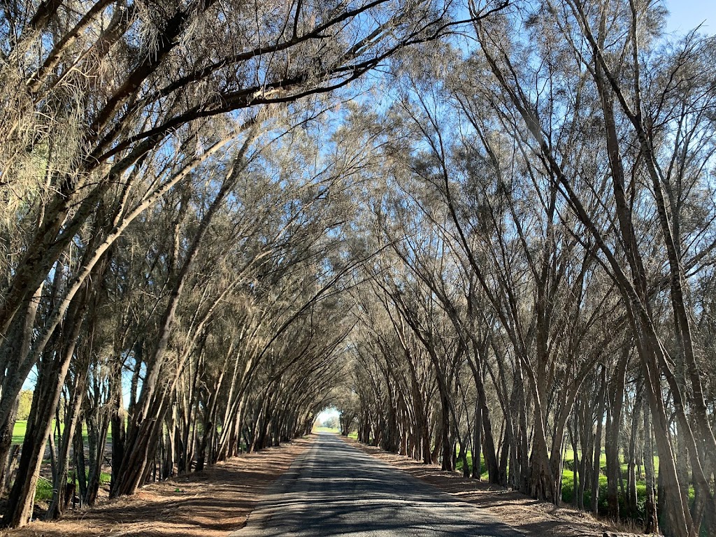 Yoothamurra Homestead | 743 Abernethy Rd, Oakford WA 6121, Australia | Phone: 0405 598 261