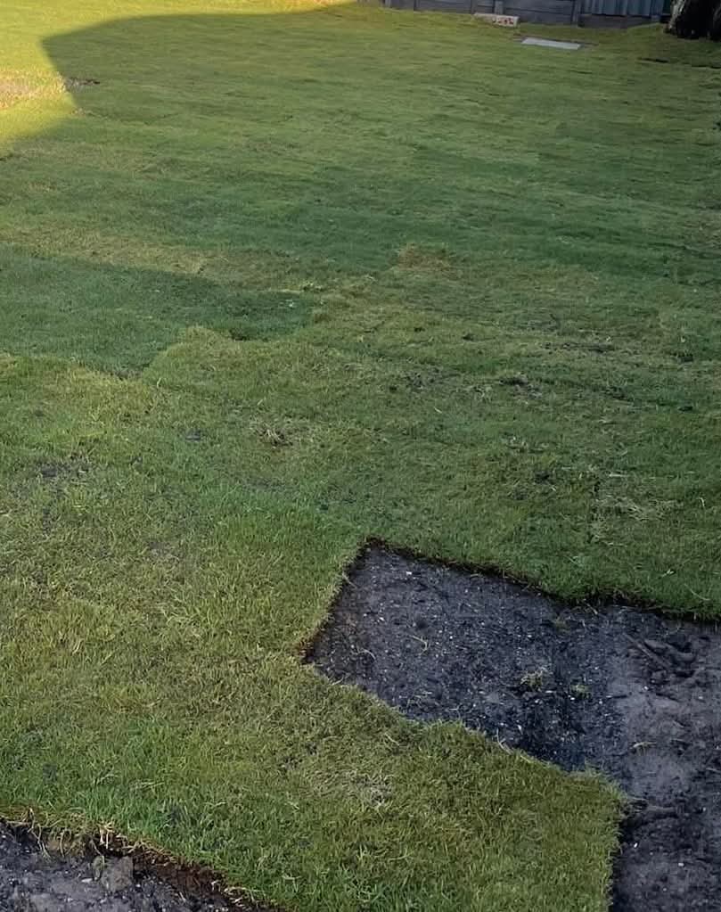 Clean Sweep Landscapes Pty ltd | 39 Cusack Ln, Riverbend QLD 4280, Australia | Phone: 0459 988 311