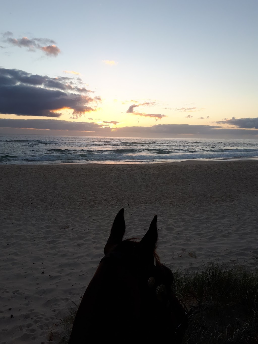 Cabarita Beach Pony Club Grounds | park | 28 Round Mountain Rd, Hastings Point NSW 2484, Australia | 0429000917 OR +61 429 000 917