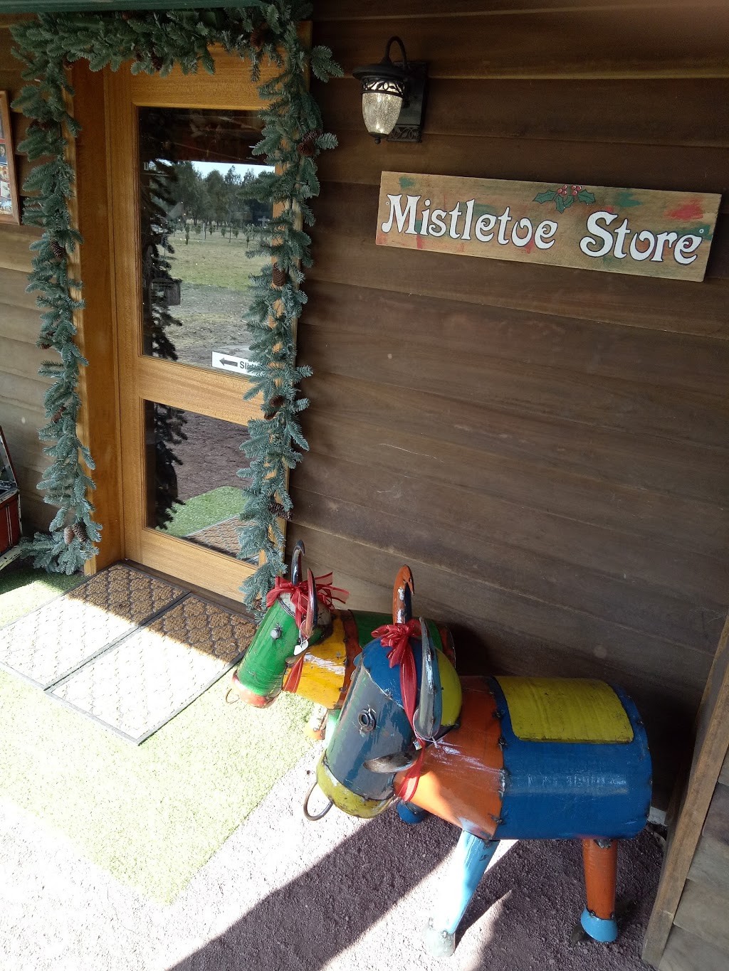 Granite Belt Christmas Farm | store | 321 Aerodrome Rd, Applethorpe QLD 4378, Australia | 0412826842 OR +61 412 826 842