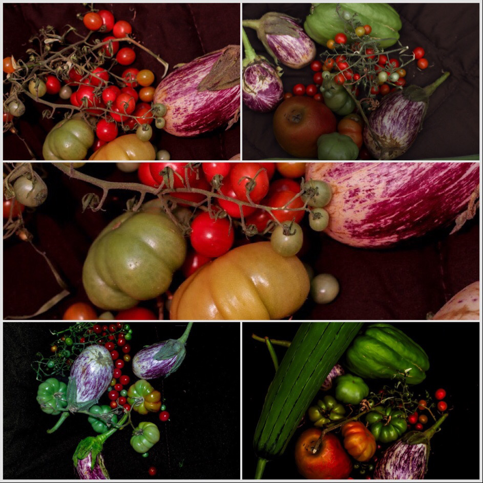 Artist Samida Sargeant MD | 3 Yara St, Russell Island QLD 4184, Australia | Phone: 0423 686 872