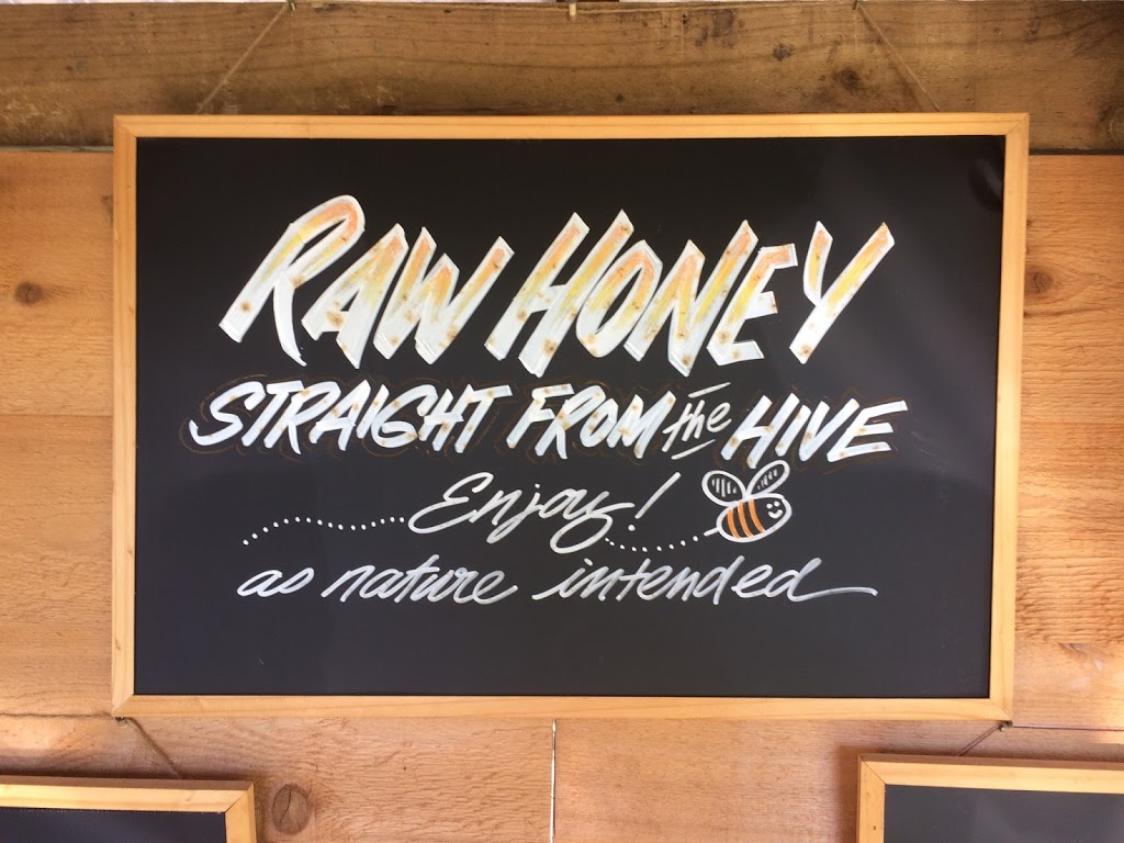 Julies Queen Bee Honey | 76 Boyce Ave, Wyong NSW 2259, Australia | Phone: 0424 518 190
