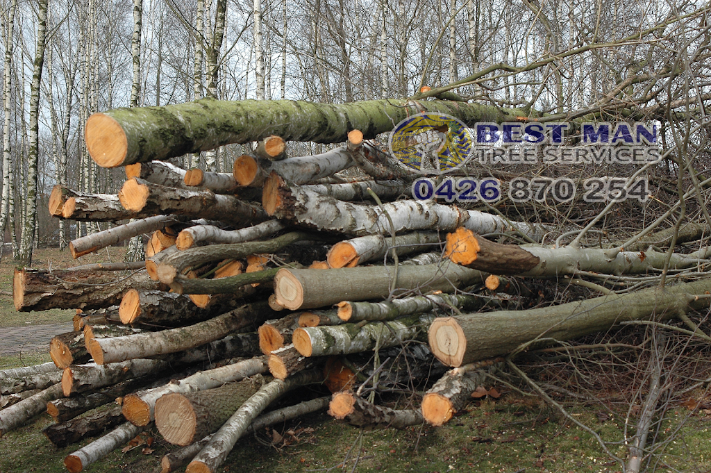 Best Man Tree Services | 3 Roscoe St, Kotara South NSW 2289, Australia | Phone: 0411 520 336