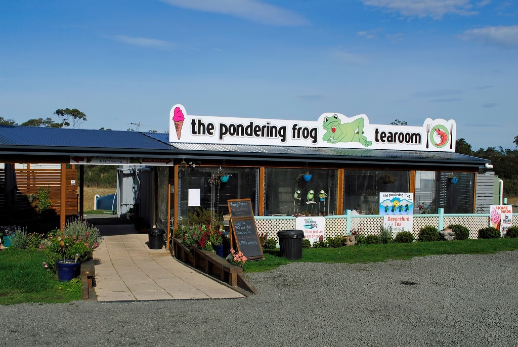 The Pondering Frog | 16494 Tasman Hwy, Bicheno TAS 7215, Australia | Phone: 0412 631 299