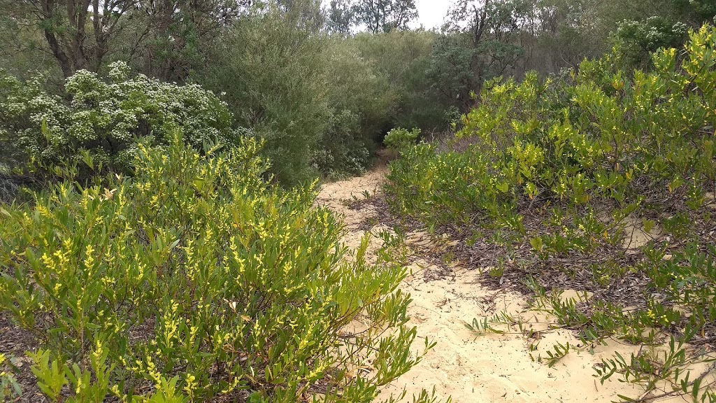 Cudmirrah Beach public pathway | park | The Springs Rd, Swanhaven NSW 2540, Australia
