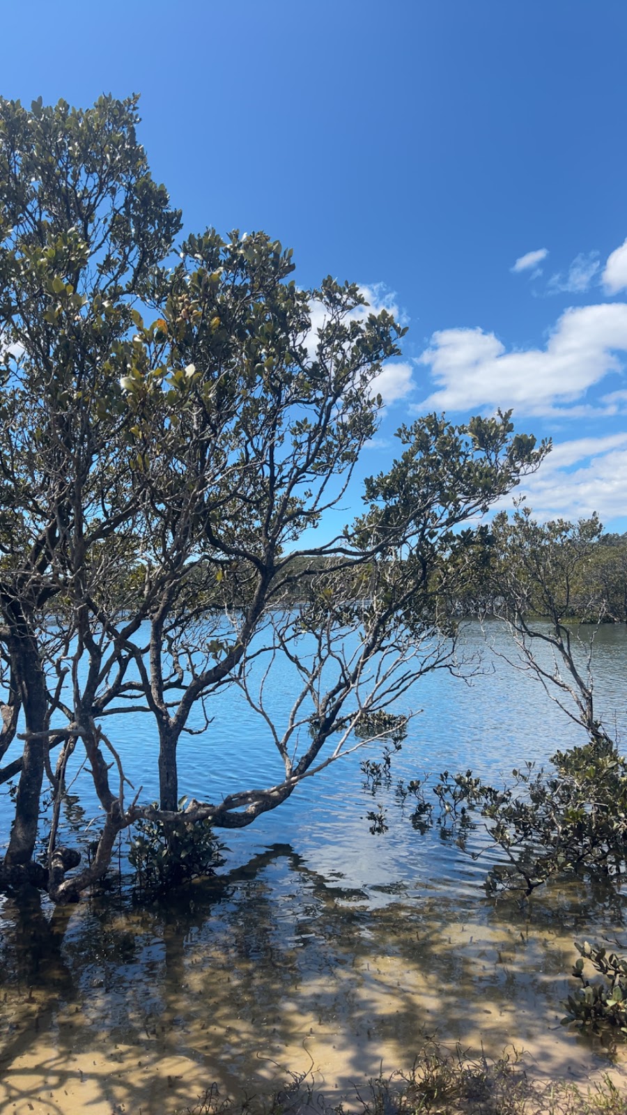 Jigamy Campground | 4381 Princes Hwy, Broadwater NSW 2549, Australia | Phone: (02) 6495 6343